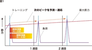 ダイエットには週一回の筋トレと、食事はとにかくタンパク質 ダイエットには週一回の筋トレと、食事はとにかくタンパク質